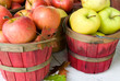 Autumn apples with leaves