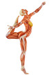 muscle woman side view muscle woman side view