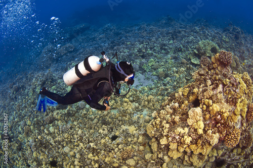 Photo: Looking down on a Diver in Kona Hawaii Looking down on a Diver in Kona Hawaii