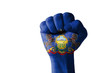 Fist painted in colors of us state of pennsylvania flag