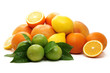 Foto: Ripe oranges , green lime and yellow lemon. Ripe oranges , green lime and yellow lemon.