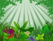 beautiful forest background