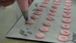 macarons roses(patisserie) macarons roses(patisserie)