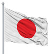 Flag of Japan