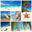 Photo: Caribbean nature collage Caribbean nature collage