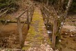 Holzbrücke über Miesenbach