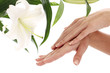 Woman hands and lilly flower