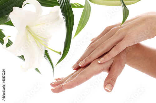 Foto: Woman hands and lilly flower Woman hands and lilly flower