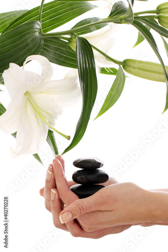 Photo: Spa hands over white background Spa hands over white background