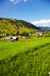 Summer landscape in the countryside Summer landscape in the countryside