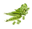 green peas in pods on a white background green peas in pods on a white background