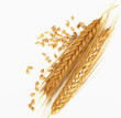 .ripe rye ears and seeds on white background .ripe rye ears and seeds on white background