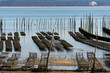 bassin d'arcachon, parcs à huitres bassin d'arcachon, parcs à huitres