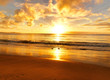 beautiful sunset on the  beach