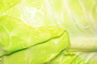 Cabbage Macro