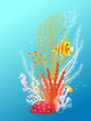 Underwater bouquet