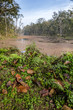 Nepal jungle (Chitwan) Nepal jungle (Chitwan)