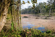 Chitwan National Park, Nepal Chitwan National Park, Nepal