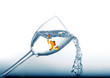 Illustration: Pure water Pure water