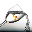Illustration: Pure water clear Pure water clear