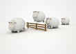 sheep jump