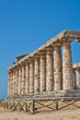 Paestum temple - Italy