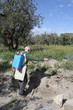 Elderly farmer spraying weed pesticide