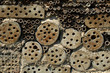 Insektenhotel