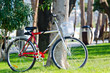 Bike bicycle in the park Bike bicycle in the park
