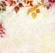 Vintage floral with old paper background