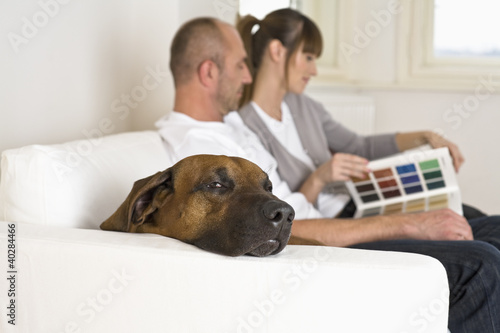 Photo: Couple sitting on sofa, looking at catalog, side view Couple sitting on sofa, looking at catalog, side view