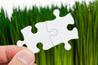 Green grass and Puzzle