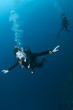 scuba diver swimming over reef