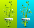 Bamboo background Bamboo background