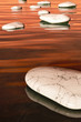 step stones sunset
