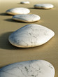 stones in the sand