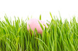 egg easter in a grass Isolated on white egg easter in a grass Isolated on white