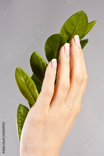 Photo: Beautiful hands with French manicure nails Beautiful hands with French manicure nails