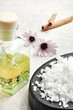 Wellness spa