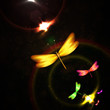 Shiny abstract dragonfly, futuristic vector illustration eps10