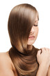 woman with elegant long shiny hair , hairstyle