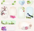 Vektor: set of cards with precious nature decorations set of cards with precious nature decorations