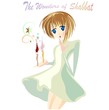 The Wonder of Shabbat