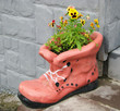 Flower pot in shape of shoe with blooming flowers