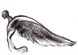 black angel