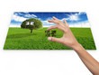 puzzle nature