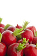Radishes