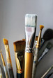 Used brushes