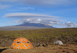 Kilimanjaro - vue depuis Shira I camp