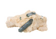 Foto: Apatite and phlogopite in tiff Apatite and phlogopite in tiff